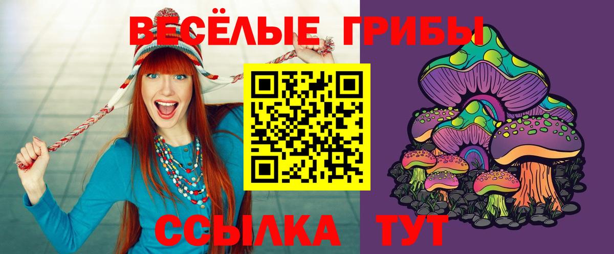 Анапа  Галлюциногенные грибы Psilocybine cubensis  Вход с VPN 